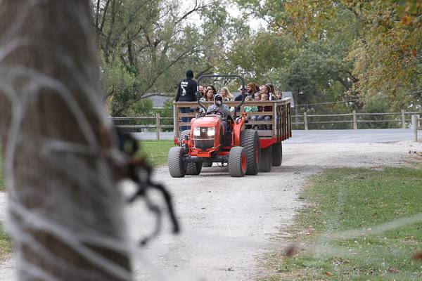 5 Things to Do in Will County: Plenty of Halloween fun this weekend!