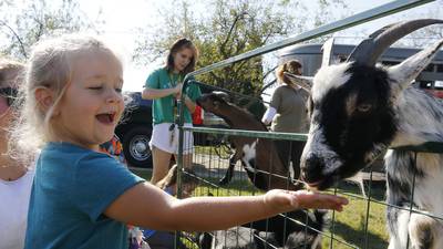 Roaring 20s theme, fireworks, parades all on tap for Marengo Settlers’ Days