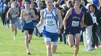 Cross country: Erie-Prophetstown boys, girls qualify for state