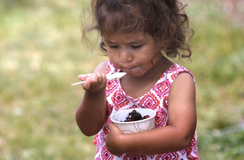 Vivian Palomino, 2, enjoys some frozen custard from the Julie Ann’s Frozen Custard truck during the Crystal Lake Park District and Public Library's Summer Singalong for Kids on Friday, June 21, 2024, at Crystal Lake's Main Beach.