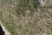 Moderate drought conditions exist for much of northern Illinois 