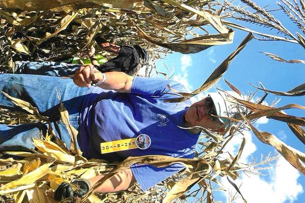 Ogle County man, 90, places 5th in National Corn Husking Contest