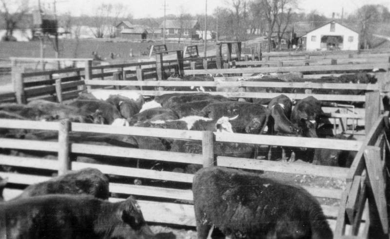 The 19th century Oswego stockyards and the Oswego Manufacturing Company’s business incubator building (top right) on Adams Street at the Waubonsie Creek Bridge, are just two of the sites that will be visited during two historical bus tours of the village’s old manufacturing sites on Sunday, April 10.