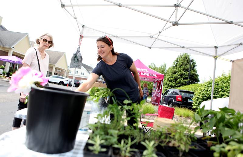 Photos Campton Hills Farmers Market Shaw Local