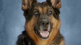 Dixon K-9 succumbs to cancer