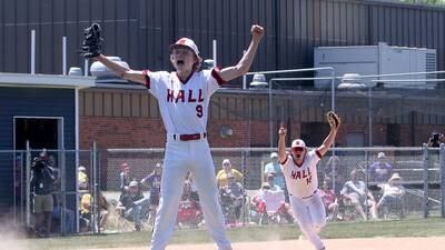 Photos: Class 2A Sectional baseball final- Hall vs Sherrard