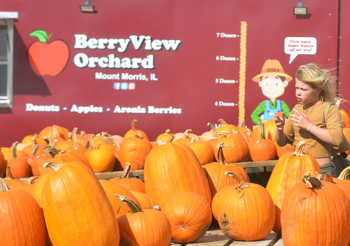 Coco Krup, 10, of Oregon, battles the wind as she looks over the pumpkins for sale at BerryView Orchard north of Mt. Morris on Sunday, Oct. 13, 2024 during the Ogle County Farm Stroll. The orchard was one of the stops on this year's stroll.
