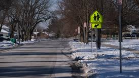 Joliet District 86 schools on e-learning Tuesday