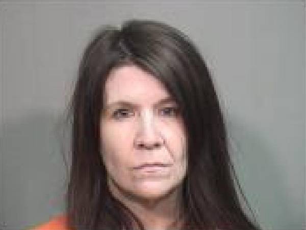 Bond reduced for Harvard mom accused of child endangerment