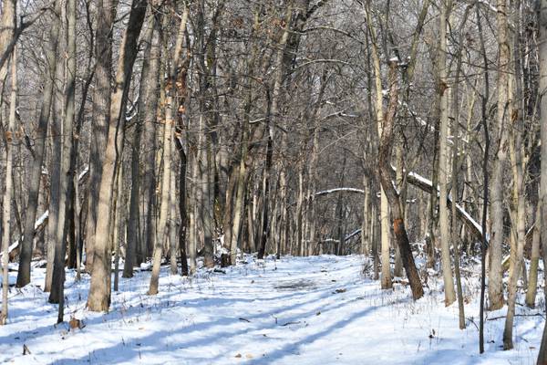 5 Things to Do: First Day Hike, Emo Night Live in Yorkville this weekend