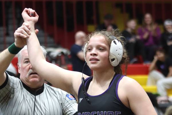 Hampshire qualifies 4 for state, leads McHenry County teams at IHSA Schaumburg Sectional