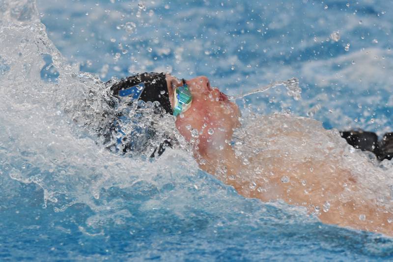 St. Charles North’s Thomas McMillan swims the 100-yard backstroke during the boys state swimming and diving finals at FMC Natatorium on Saturday, Feb. 24, 2024 in Westmont.