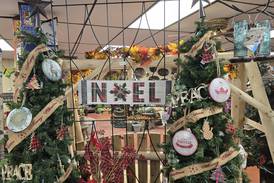 Streator Chamber to host first-ever Christmas in July event with more than 20 local businesses