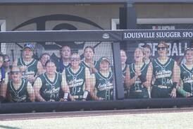BCR State Softball Update, Friday, June 2