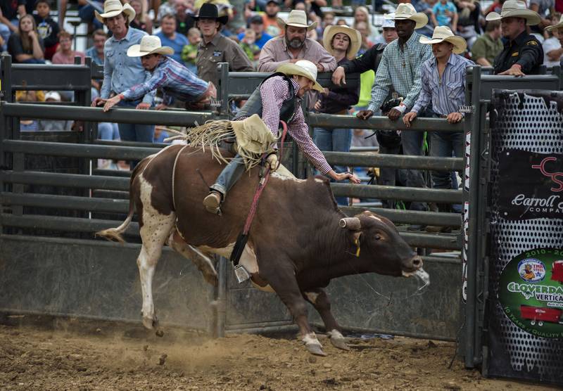 Brian Remmer of Coewtta, Oklahoma hangs tight while riding Hades Thursday at the Carroll County Fair.