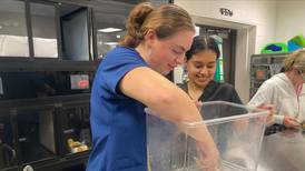 Will County center expands veterinary program for high school students
