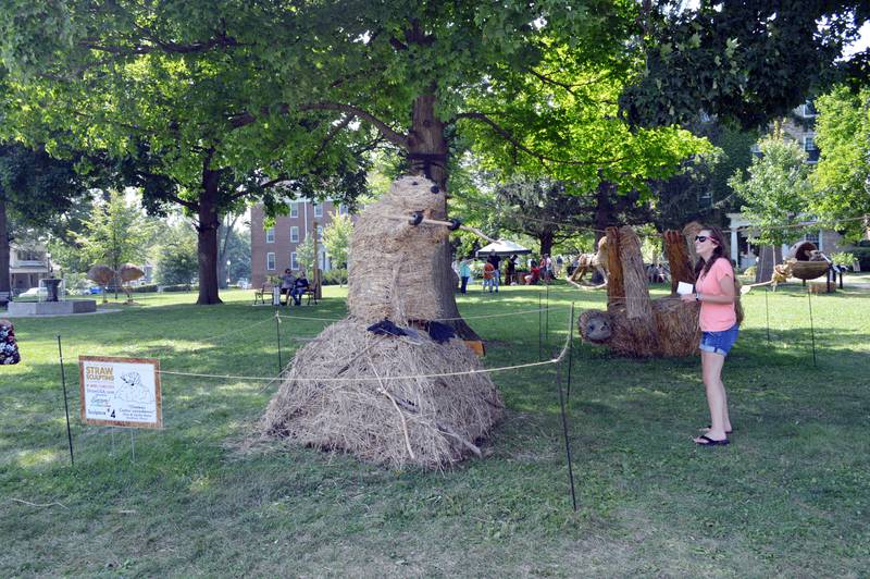 Elizabeth Krumm, of Oregon, looks at "Chateau Castor canadensis," by Chris and Cecilia Mann, of Rockford, on Saturday, Aug. 24, 2024, on the Mt. Morris College Campus during StrawFest. The straw sculpture tied for second place for Artists' Choice in the ninth annual U.S. National Straw Sculpting Competition.
