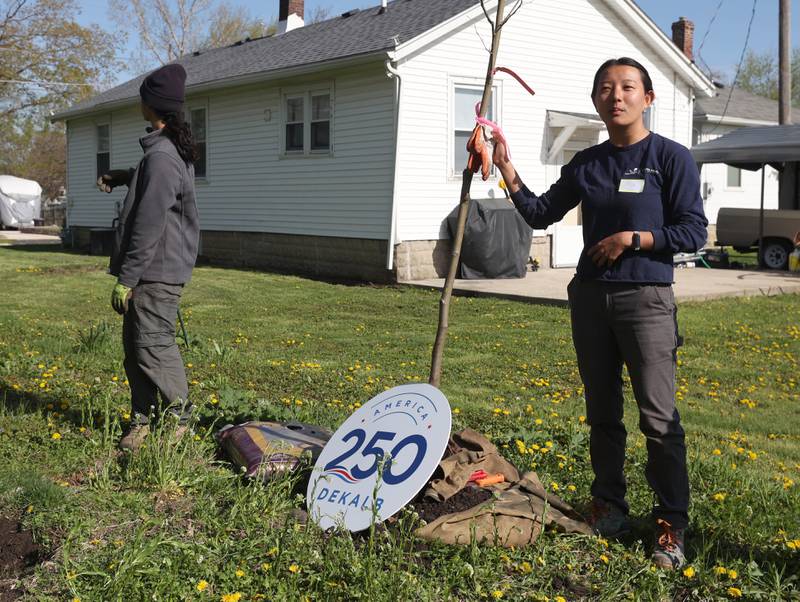Mia Howerton, (right) CRTI stewardship coordinator with Morton Arboretum, instructs volunteers on the proper way to plant trees Tuesday, April 21, 2026, during the planting event at Elder Care Services in DeKalb. Several trees were planted by volunteers at the location to kick off the DeKalb Township’s 250 Trees for Tomorrow initiative.