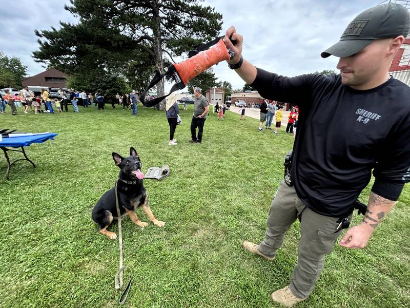 Haze, one of the Ogle County Sheriff Department's K-9s, waits for a command from Deputy Zac Hare before pouncing on his chew toy during National Night Out in Byron on Tuesday, Aug. 6, 2024. The event was held in partnership with the Byron fire and police departments.