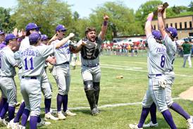 Photos: Wilmington vs. Bishop McNamara, Class 2A Beecher Sectional championship baseball