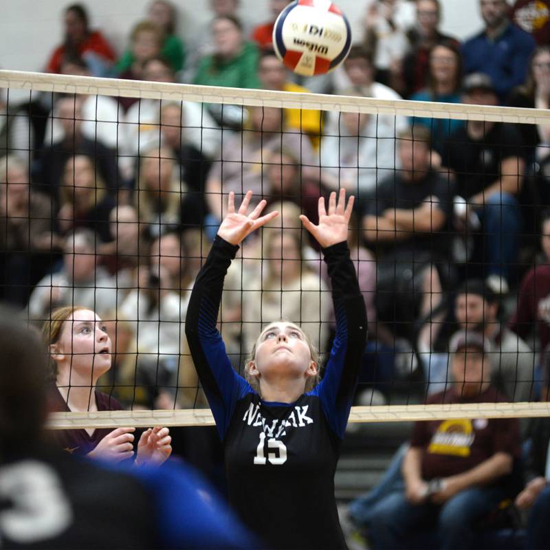Newark's Taylor Jeffers (15) sets the ball against Stockton during 1A action at the Polo Sectional on Tuesday, Nov. 5, 2024 at Polo High School.