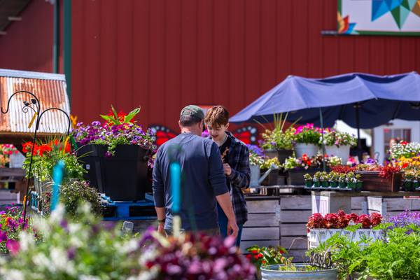 Siegel’s in Crest Hill reflects on 35 years of ‘vibrant blooms’ as garden center closes down