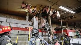 Fire damages Woodstock-area manufacturing plant