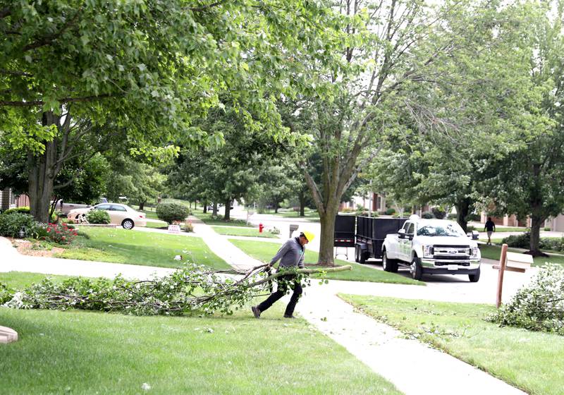 A tree care worker drags large branches out of the yard of Sugar Grove resident Dennis Panagopoulos following a storm the evening of Monday, July 15, 2024.