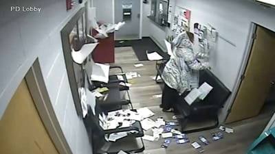 Woman damages Island Lake police station lobby