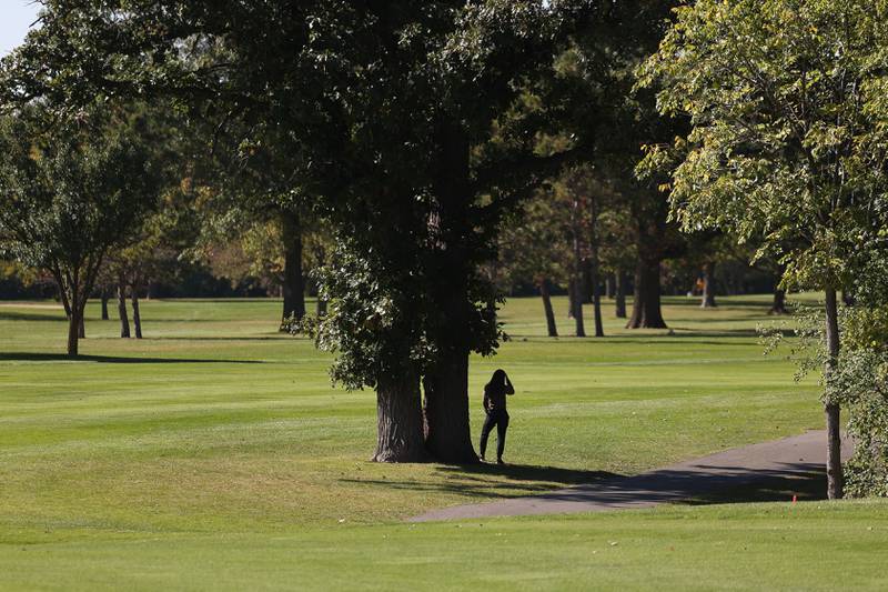 A spectator finds shade to watch the the Class 2A Lemont Boys Golf Sectional on Monday, Oct. 7, 2024 at Wedgewood Golf Course in Lemont.