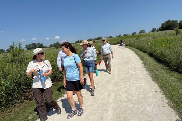 Hadley Valley Preserve in Joliet ‘an awesome success story’ of wetland restoration