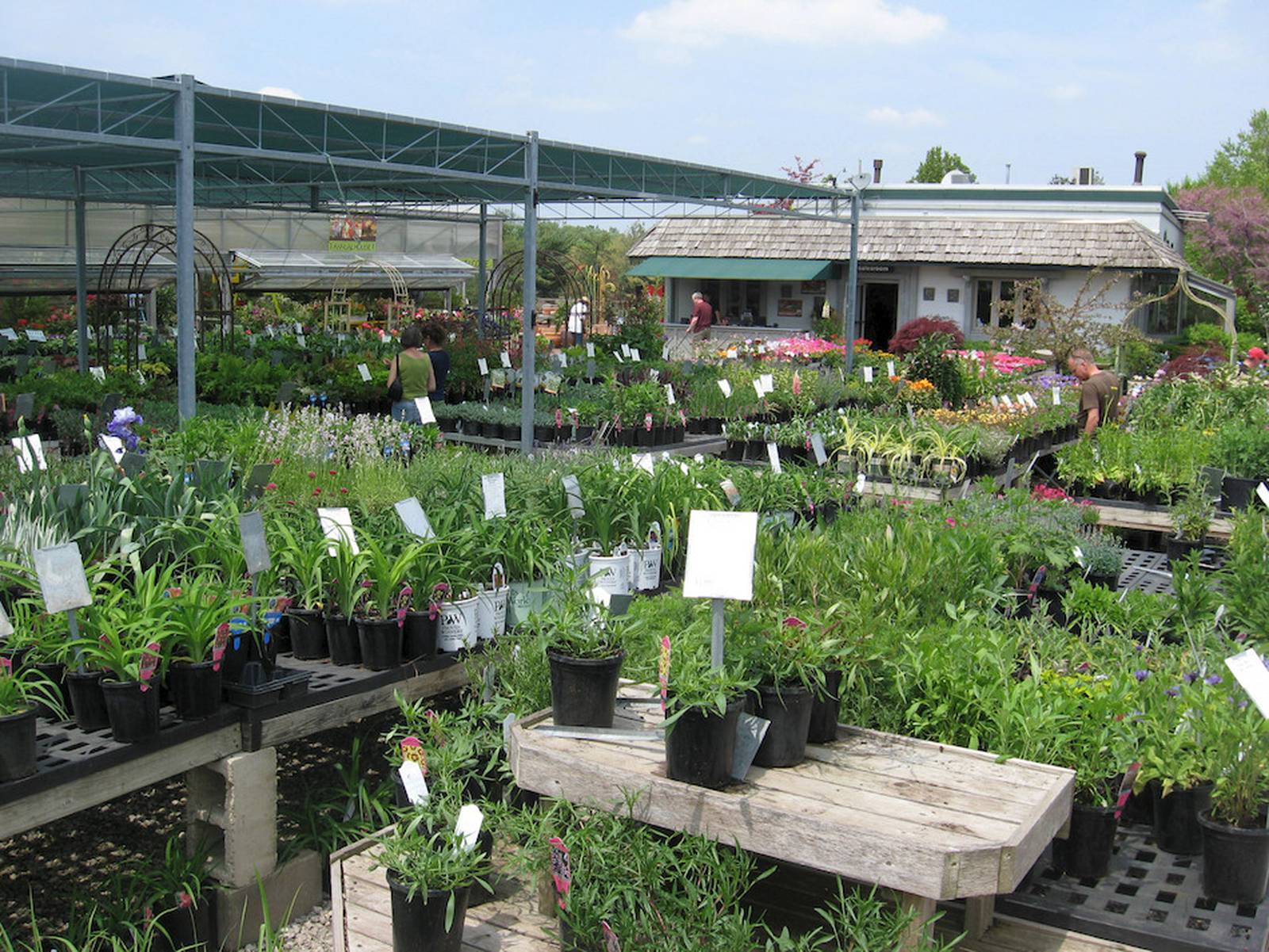 Wasco Nursery named revolutionary garden center Shaw Local