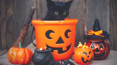 Glen Ellyn residents can sign up now for Halloween home decorating contest