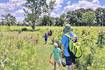 Spend summer outside with St. Charles Park District nature camps