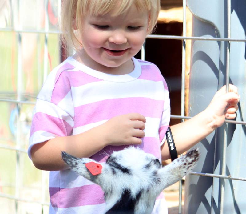 Esther Lennard, 2, of Lake in the Hills greets a goat at the petting zoo during the 20th Annual Fall Fest at Deicke Park in Huntley on Sunday, September 28, 2025.