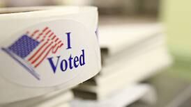 What is on the ballot for Will County voters