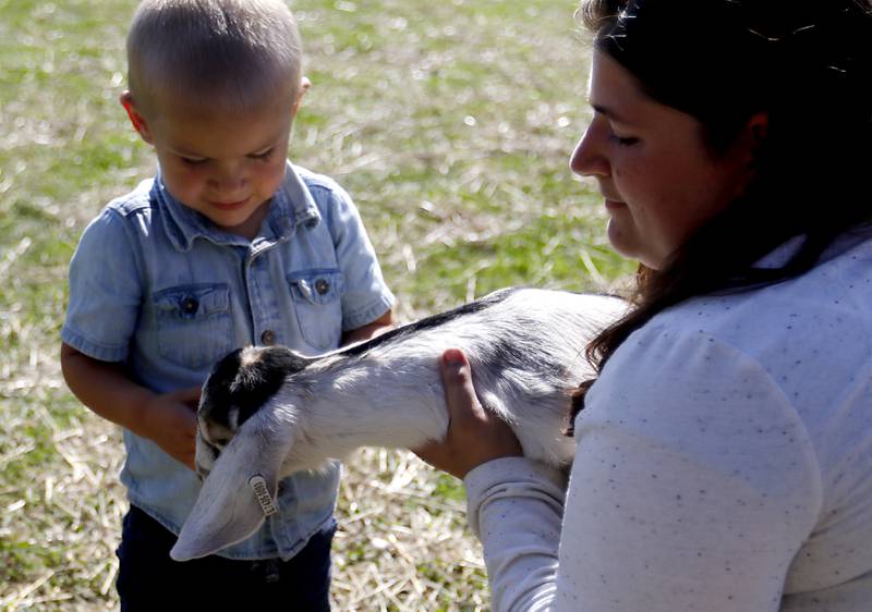 Lydia Harnack, of Johnsburg, holds a goat named Potato, for her son, Orion, 2, to pet during a stop on the McHenry County Farm Stroll on Sunday, Sept. 29, 2024, at Hephzibah Farms in Hebron. The farm stroll, a self-guided tour of McHenry County’s family farms, featured farm tours, demonstrations and products for sale at eleven farms.