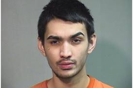 Ex-Island Lake man pleads guilty to possessing LSD, sentenced to 8 years in prison