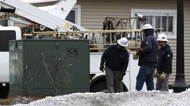Ice storm brings down branches, knocks out power across parts of McHenry County