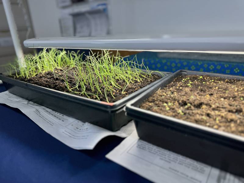 The Kendall County Master Gardeners will host a hands-on, evening workshop where attendees make their own plant light on Tuesday, March 4, 2025, in Yorkville.