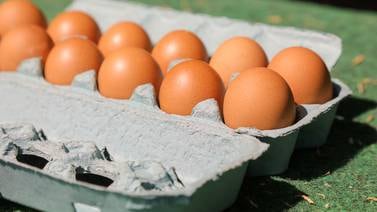 Eggs for Easter more affordable than last year 