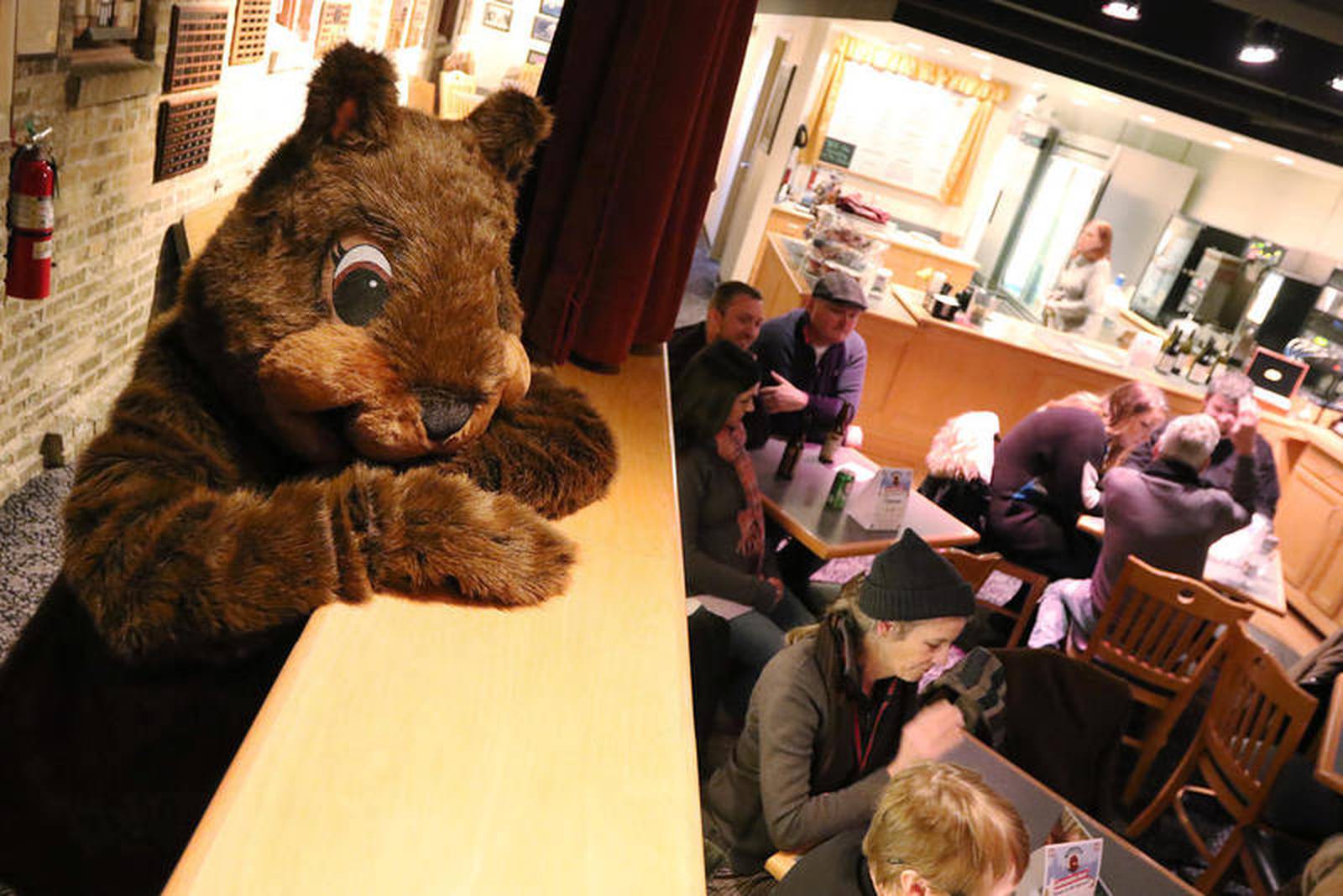 Ways to celebrate Groundhog Days Festival on Woodstock Square – Shaw Local