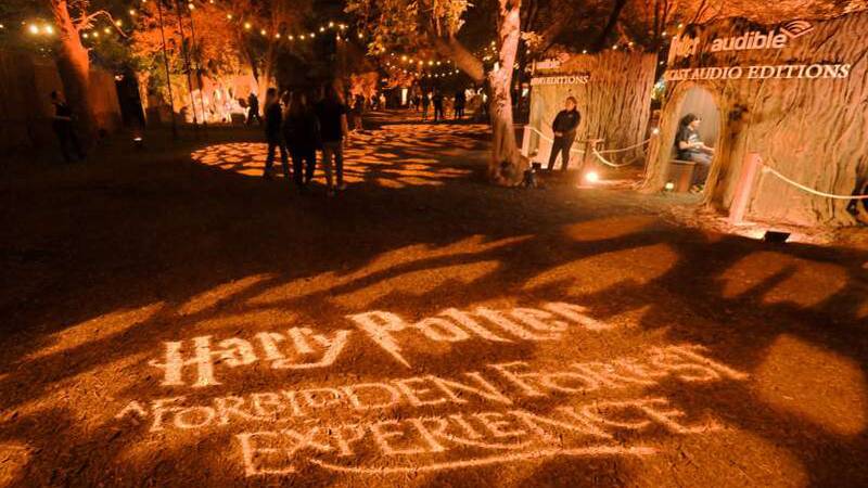 Harry Potter experience brings touch of magic to the suburbs