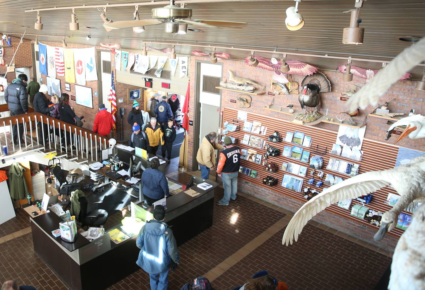 Dozens of visitors visit the Illinois Waterway Visitors center during Eagle Watch Weekend on Saturday, Jan. 25, 2025 at the at the Starved Rock Lock and Dam.