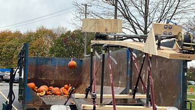 Down the Garden Path: How to Safely dispose of old Pumpkins after Halloween