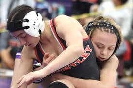 Girls wrestling: 2026 Northwest Herald All-Area Team