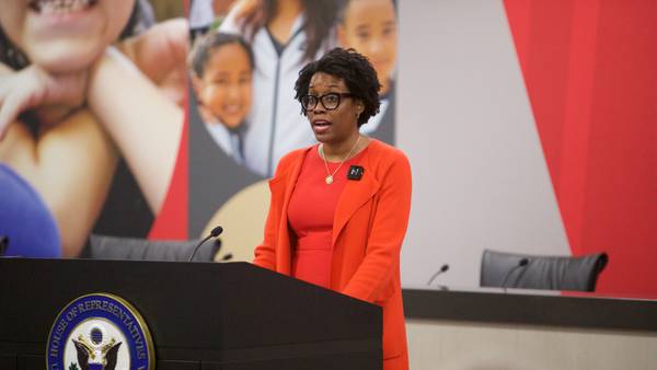 House Democrats from Illinois opposed more spending on ‘lawless’ ICE operations