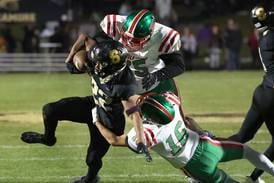 Photos: Daily Chronicle Photos of the Week for Oct. 5-Oct. 11, 2025