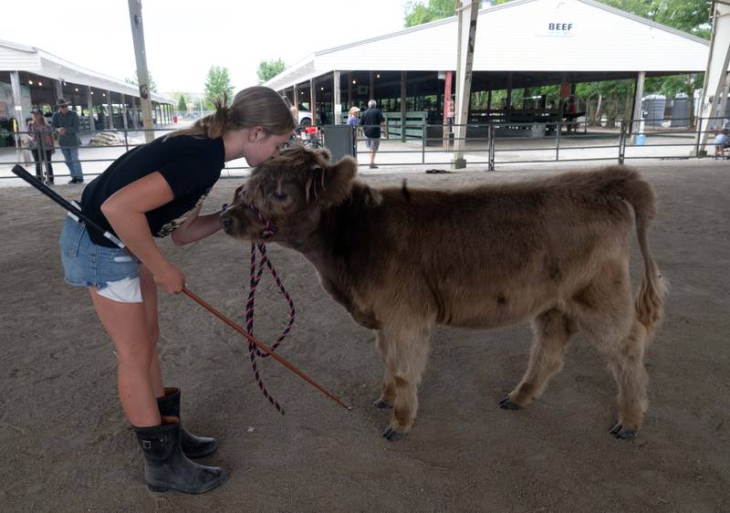 Mary Kelley, 12, of Elburn gives her Scottish Highland heifer a kiss on top of the head while they practice in the show arena during the Kane County Fair on Thursday, July 18, 2024 in St. Charles.