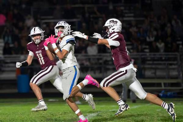 Prairie Ridge High aims to sell naming rights for renovated stadium with artificial turf